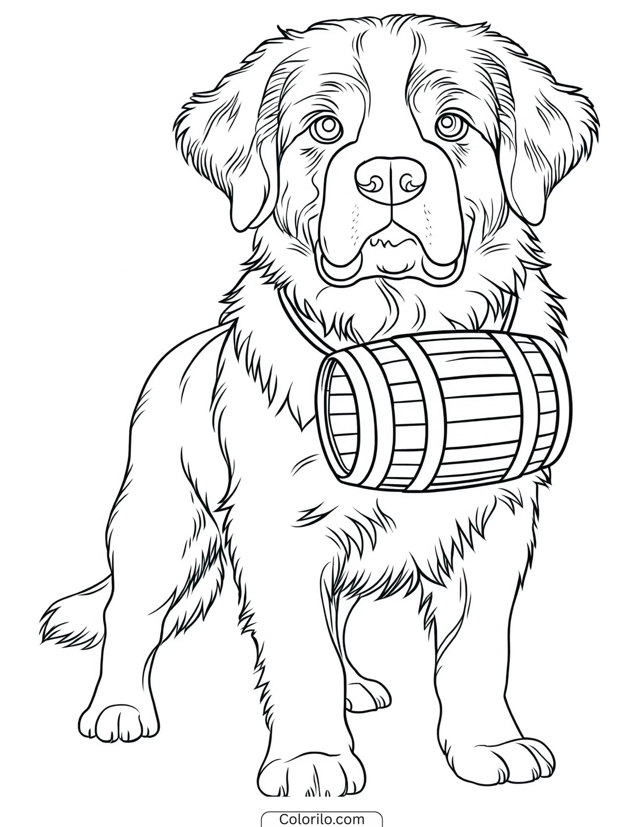 A Saint Bernard with a rescue barrel coloring page