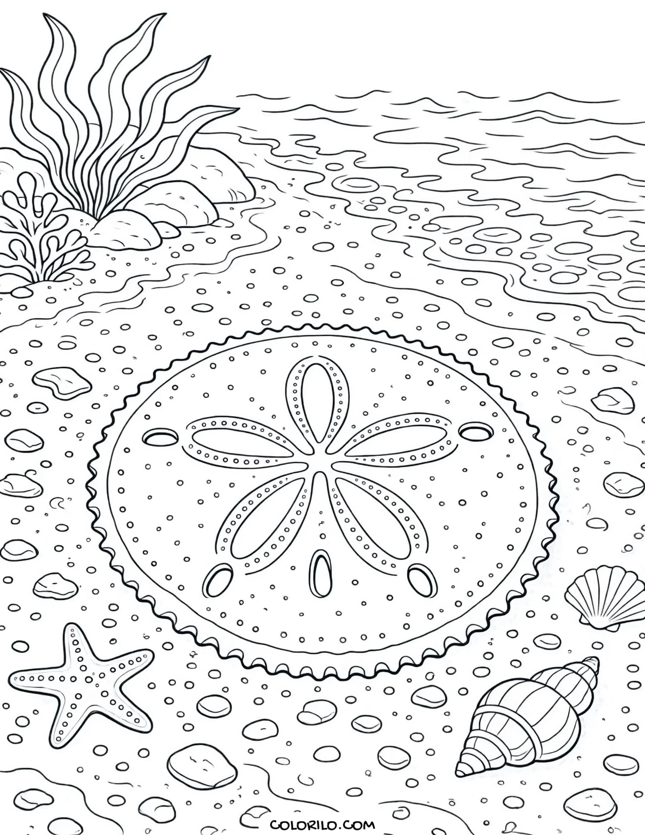 A sand dollar on the nearshore ocean floor coloring page