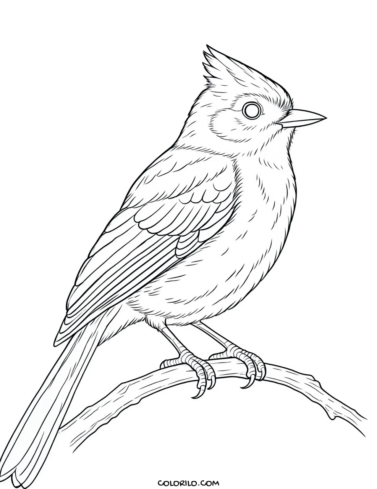 A sandhill crane coloring page