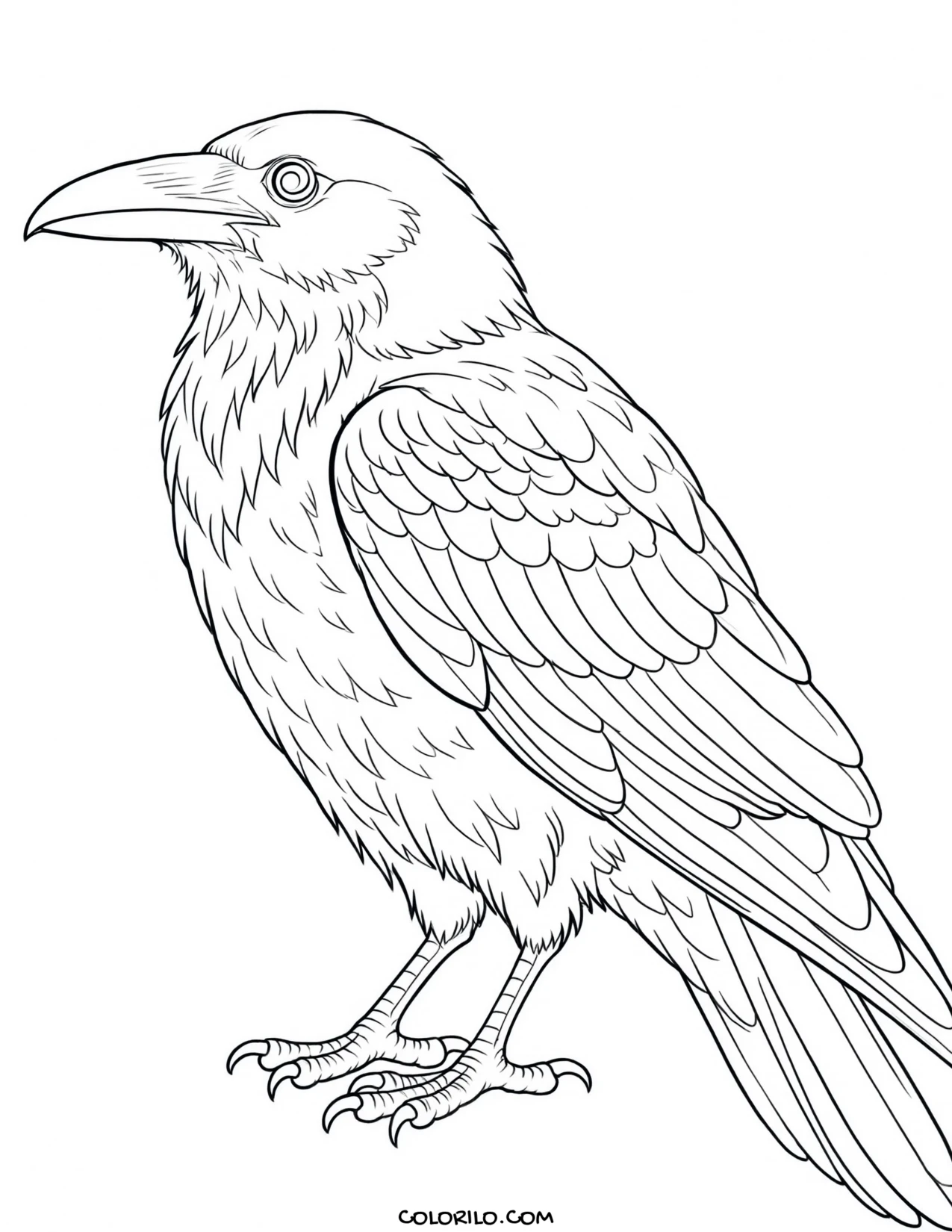 A scarlet ibis coloring page
