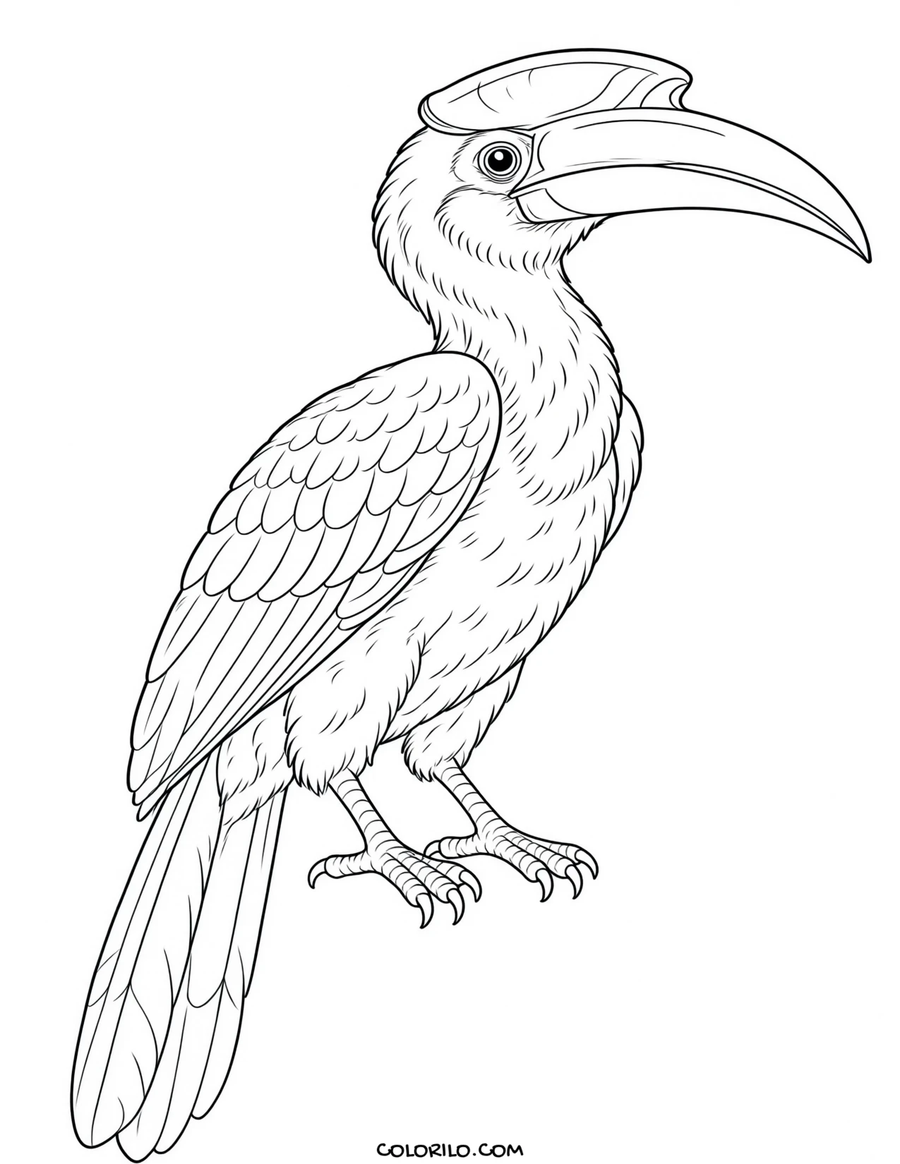 A scarlet tanager coloring page