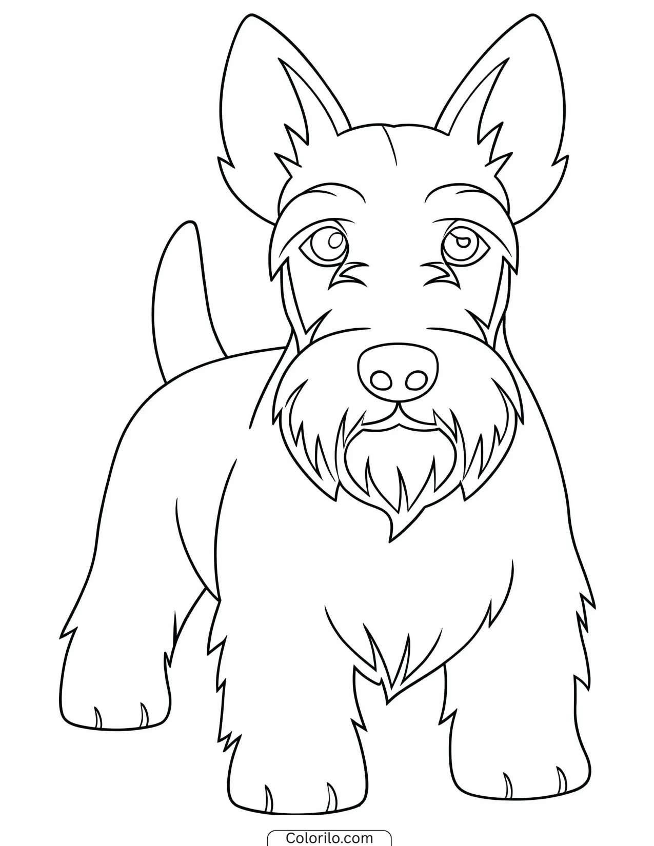 A Scottish Terrier coloring page