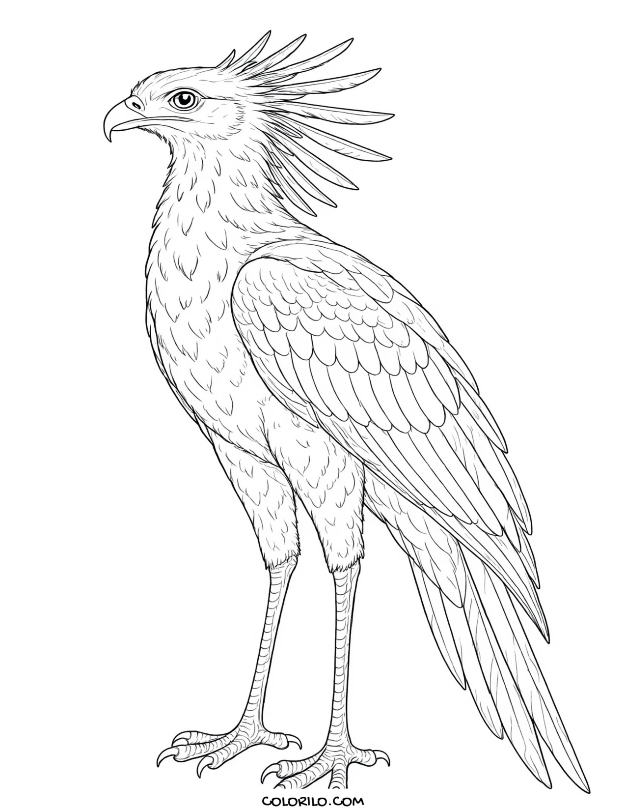 A secretary bird coloring page