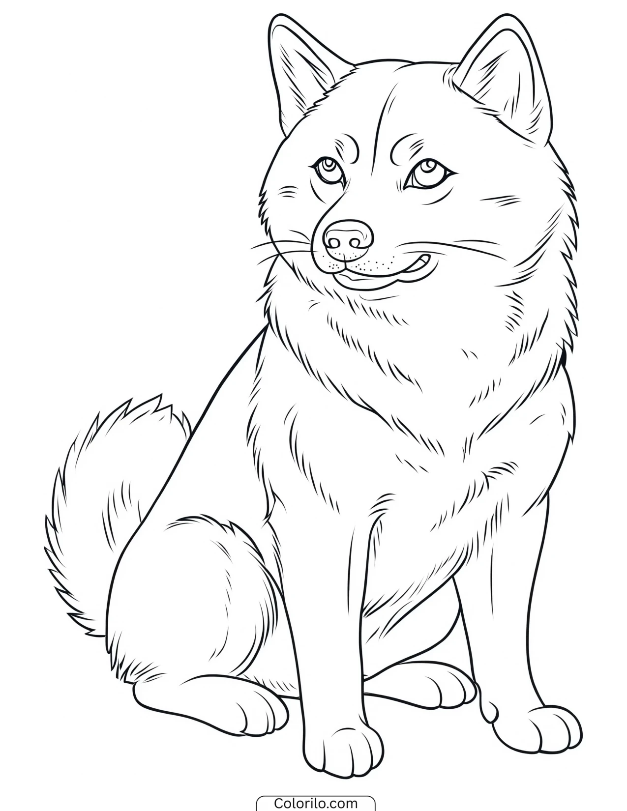 A Shiba Inu sitting coloring page