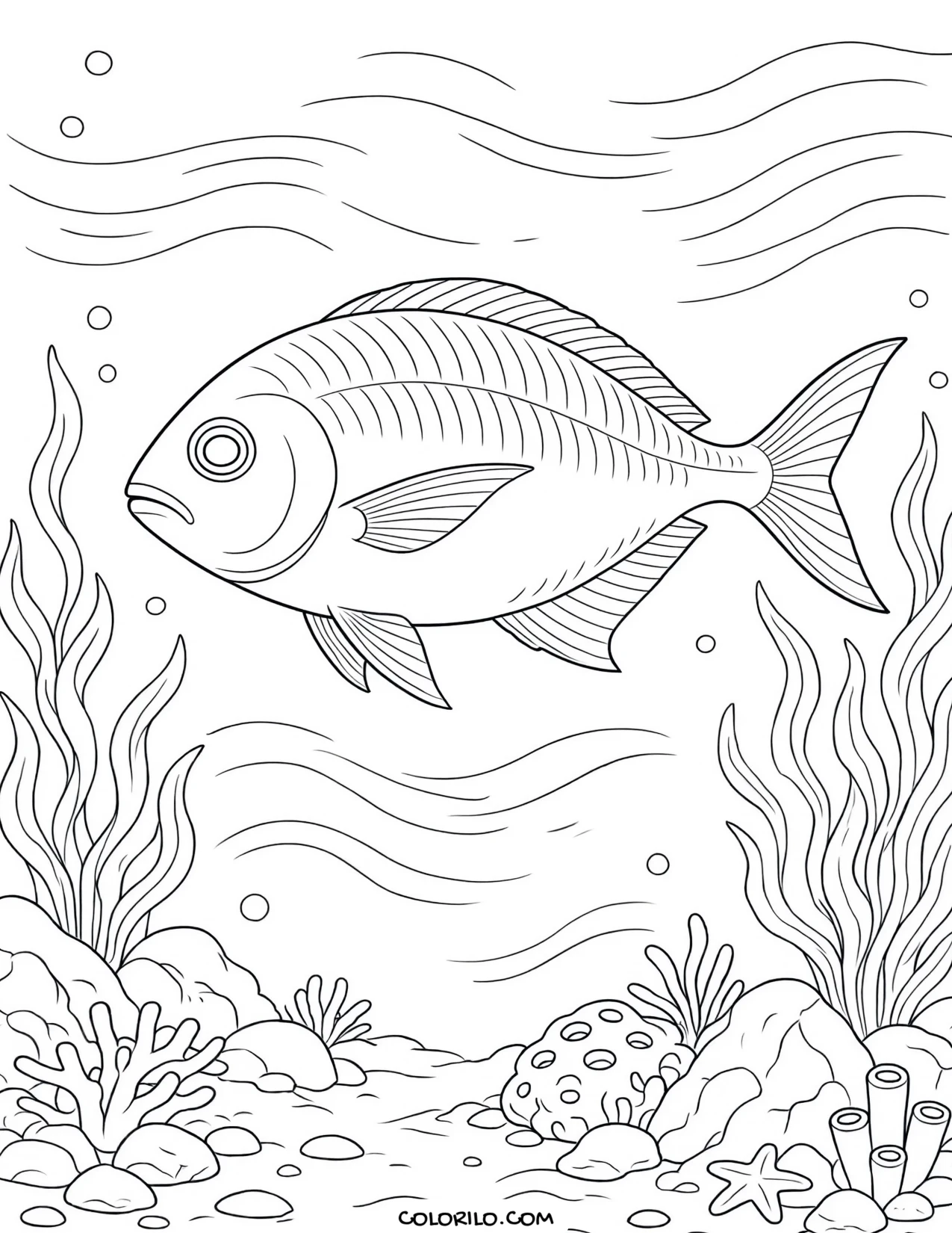 A silver hatchetfish in the midwater zone coloring page