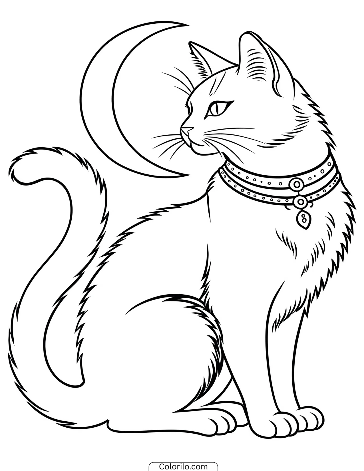 Cat sitting below a crescent moon coloring page
