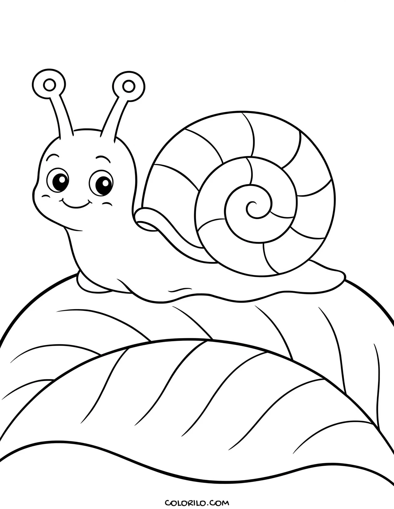 a snail with a spiral shell resting on a leaf coloring page