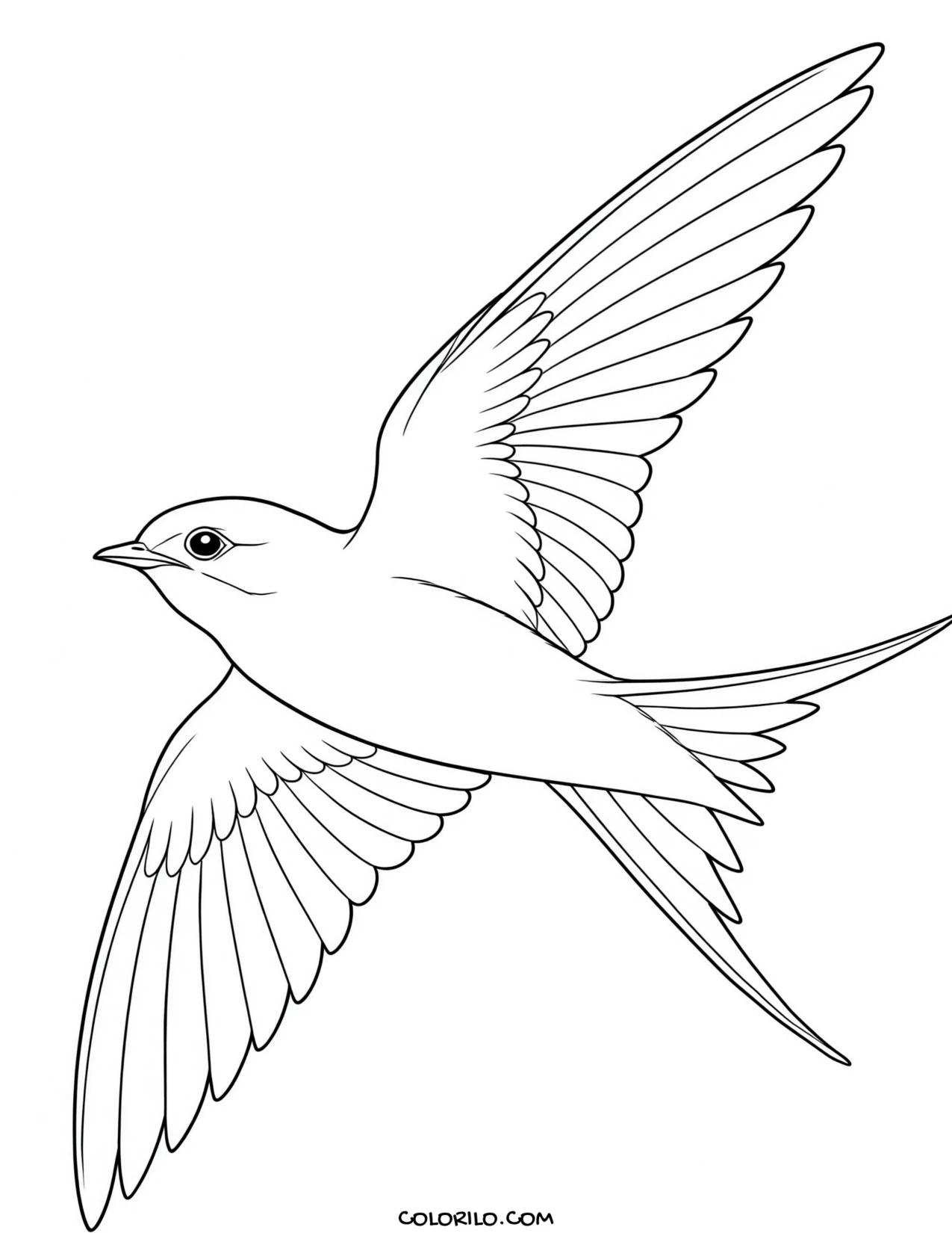 A snow goose coloring page