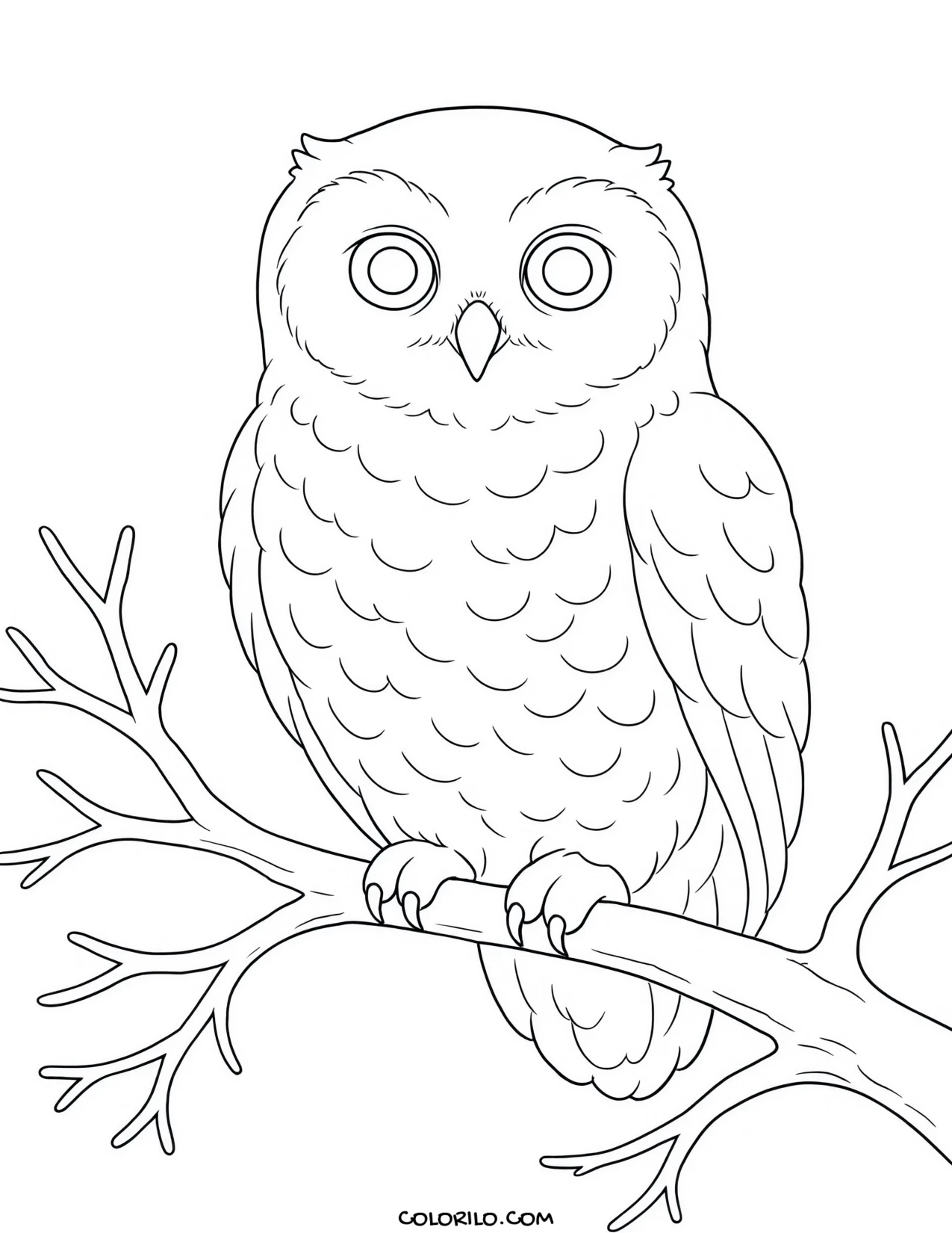 A snowy owl perched on a branch coloring page