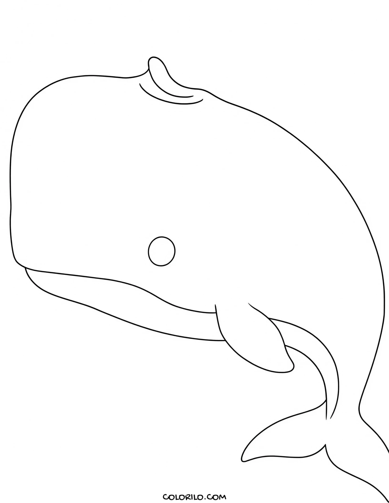 A sperm whale with its massive head coloring page