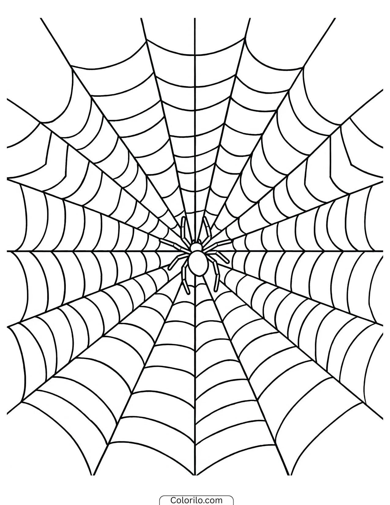 Spider sitting at the centre of its web coloring page