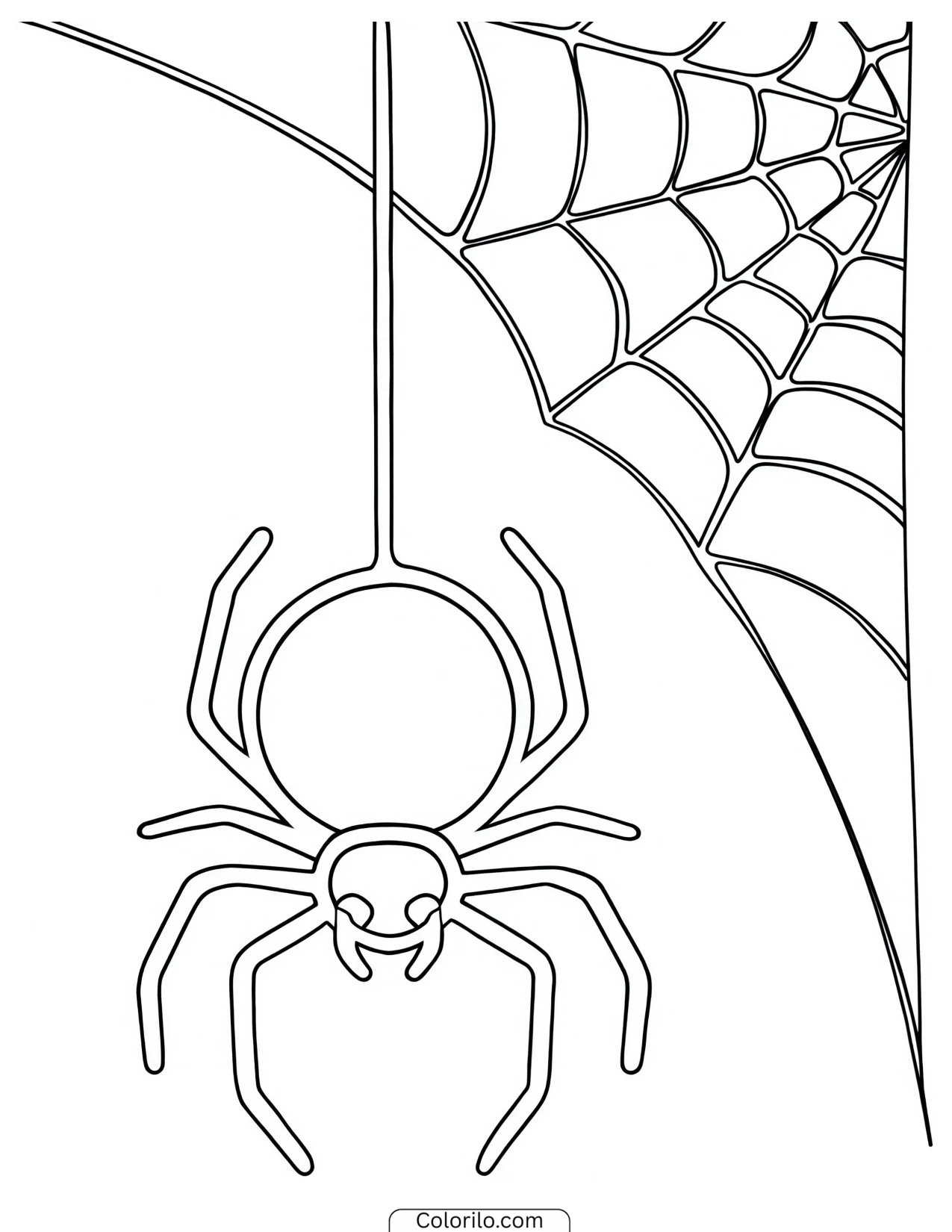 Spider hanging on a thread beside its web coloring page