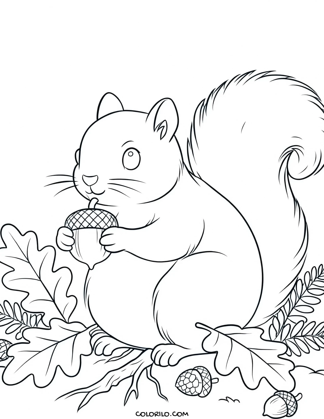A squirrel gathering acorns coloring page
