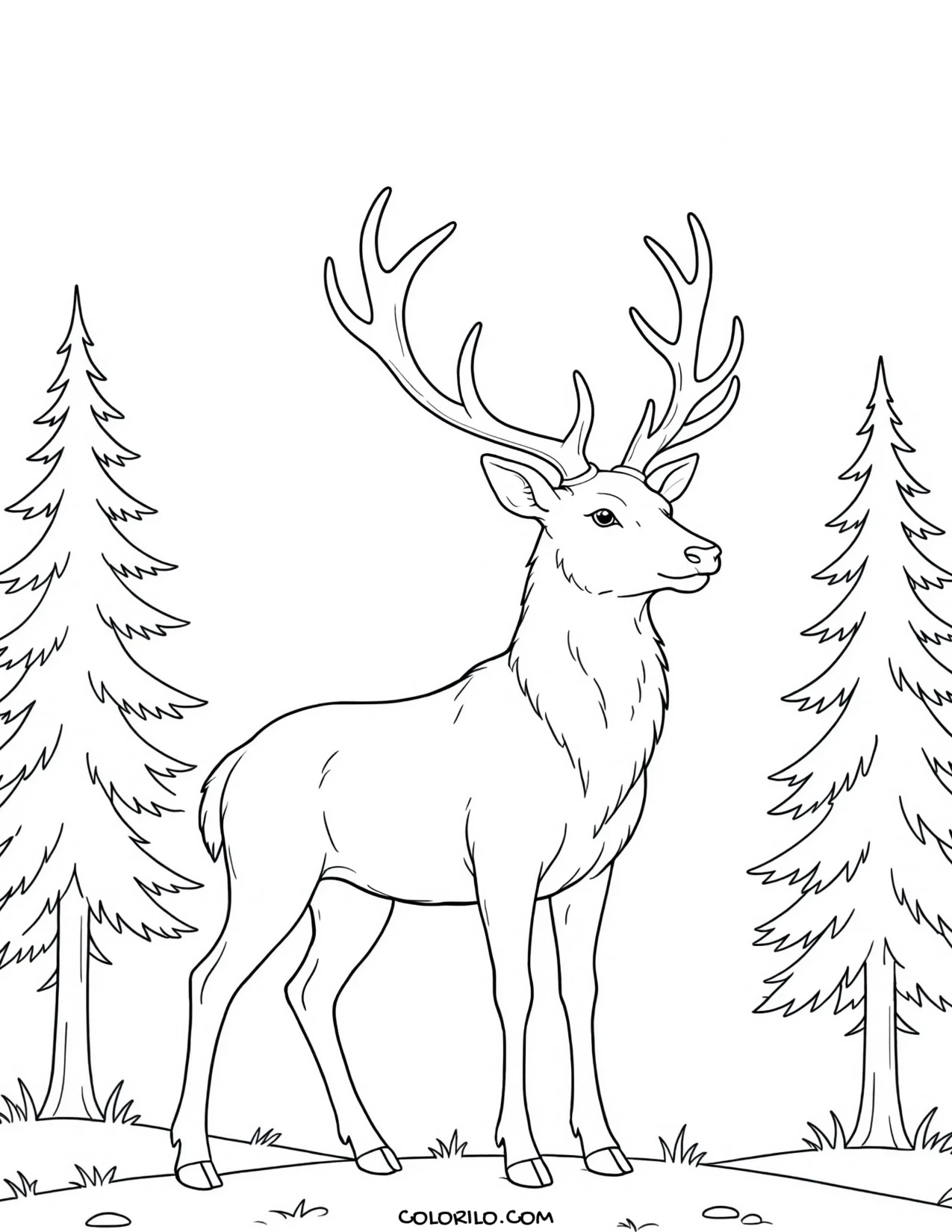 a stag with full antlers among pine trees coloring page