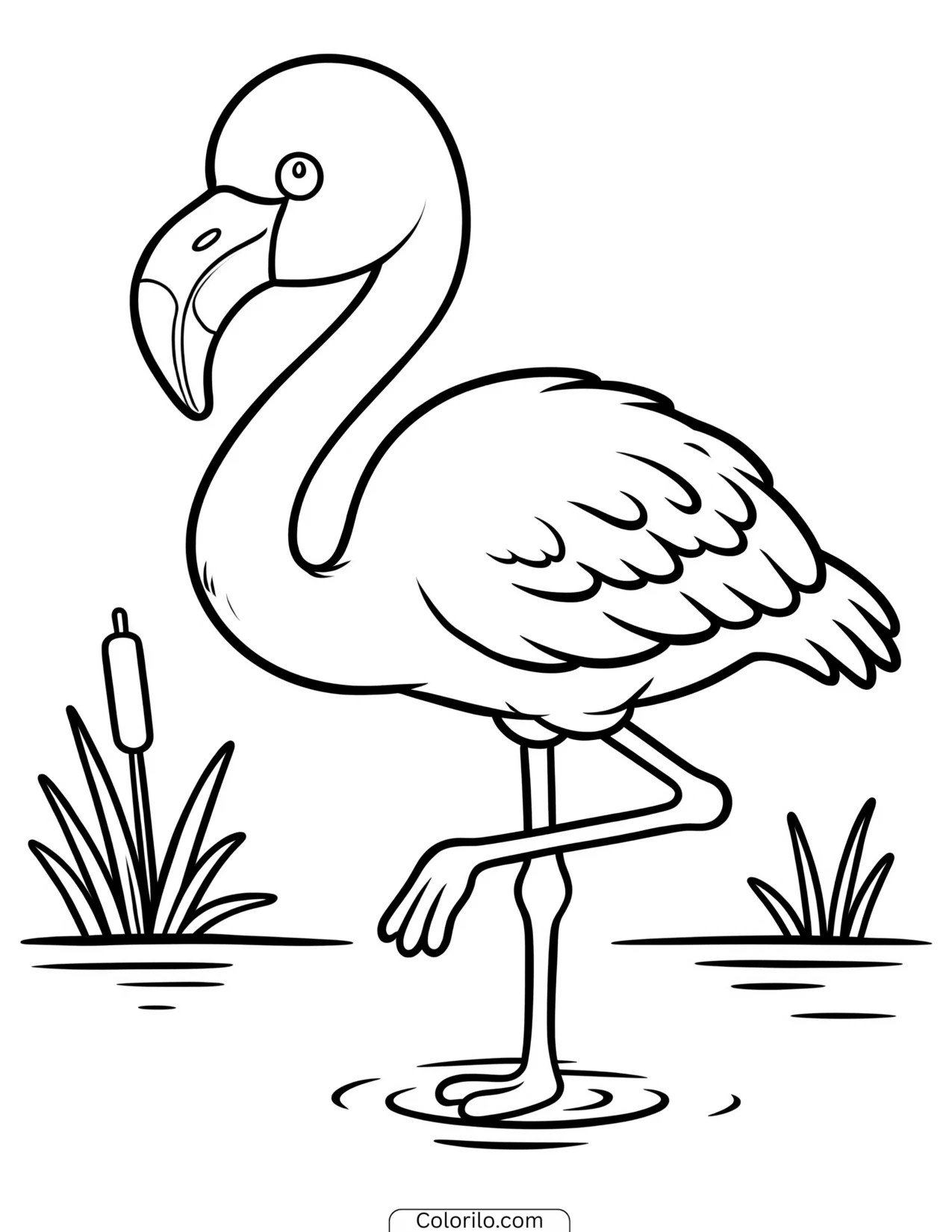 A flamingo standing in shallow water coloring page