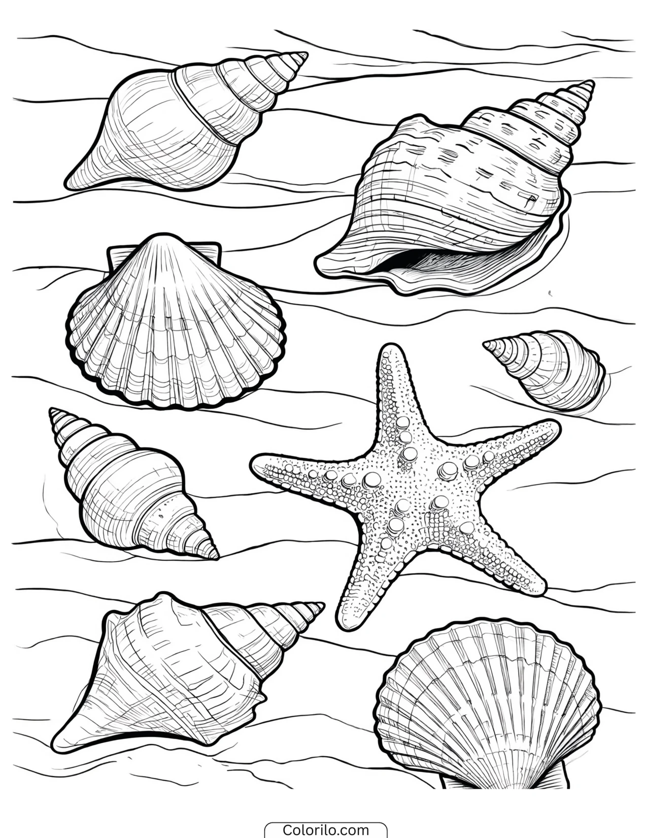 A starfish among seashells coloring page