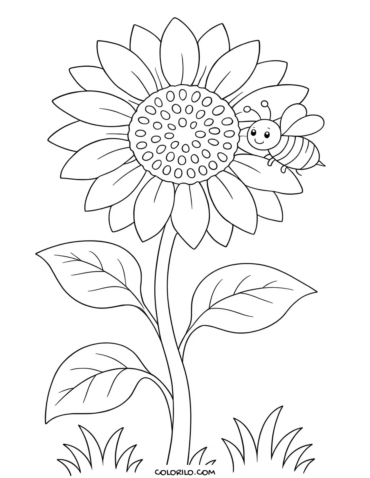 a bee landing on the center of a sunflower coloring page