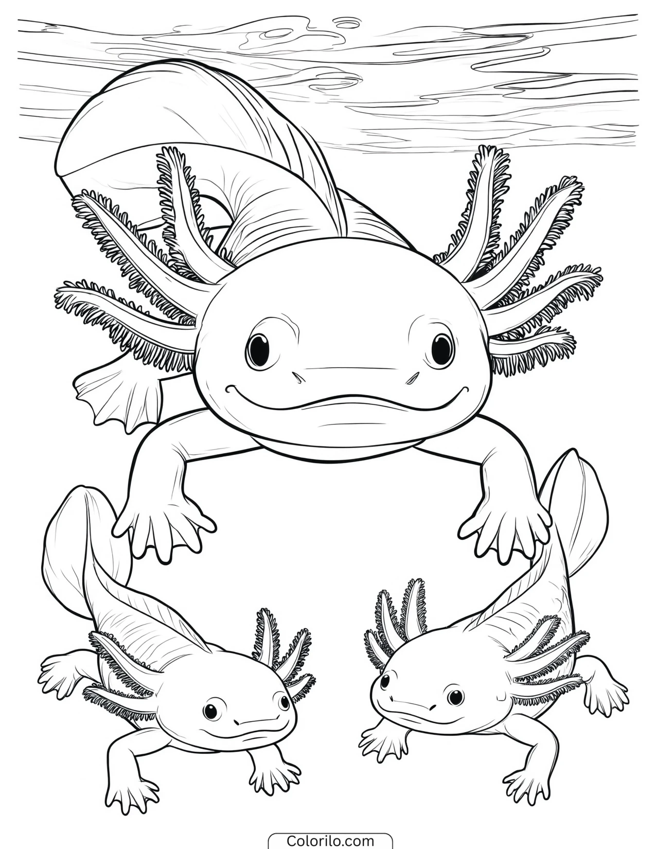Three axolotls swimming together coloring page