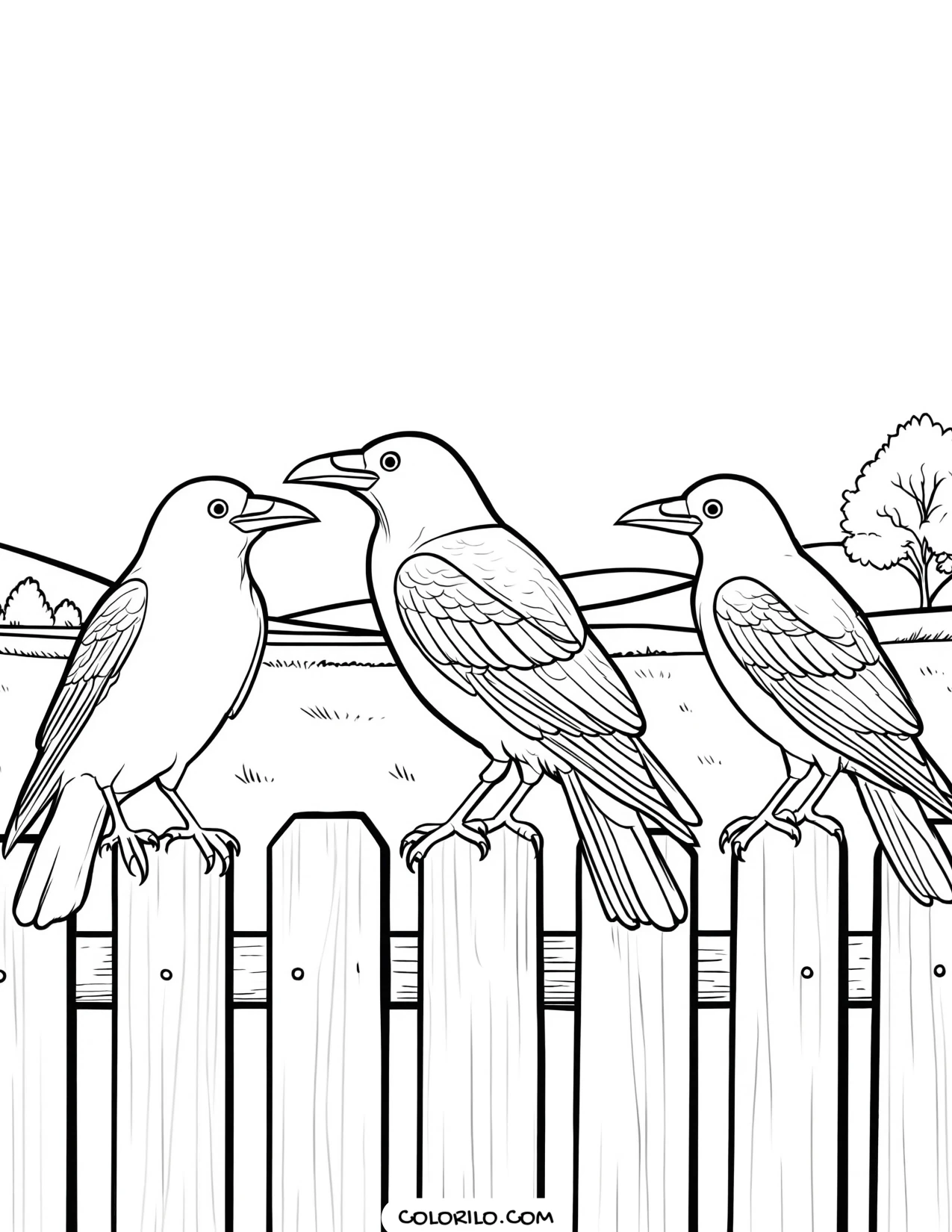 Three crows lined up on a fence coloring page