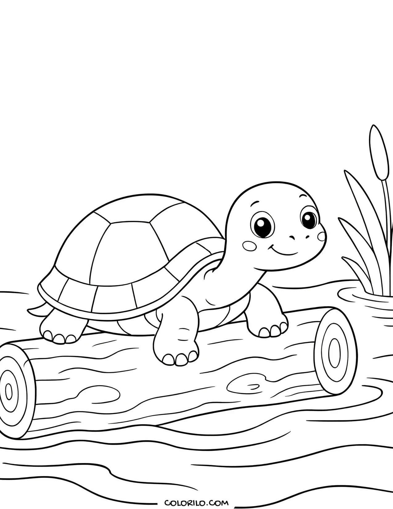 a turtle basking on a fallen log coloring page