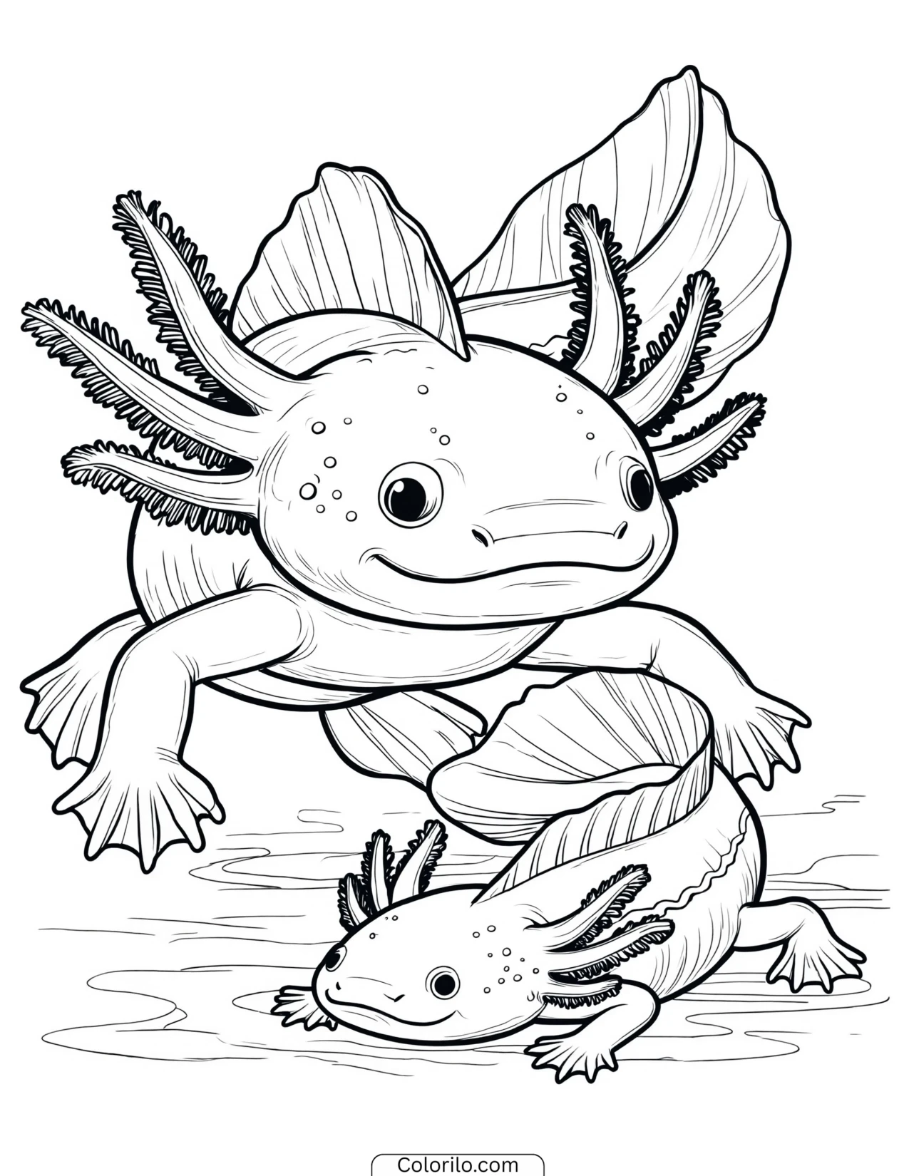 Two axolotls swimming side by side coloring page