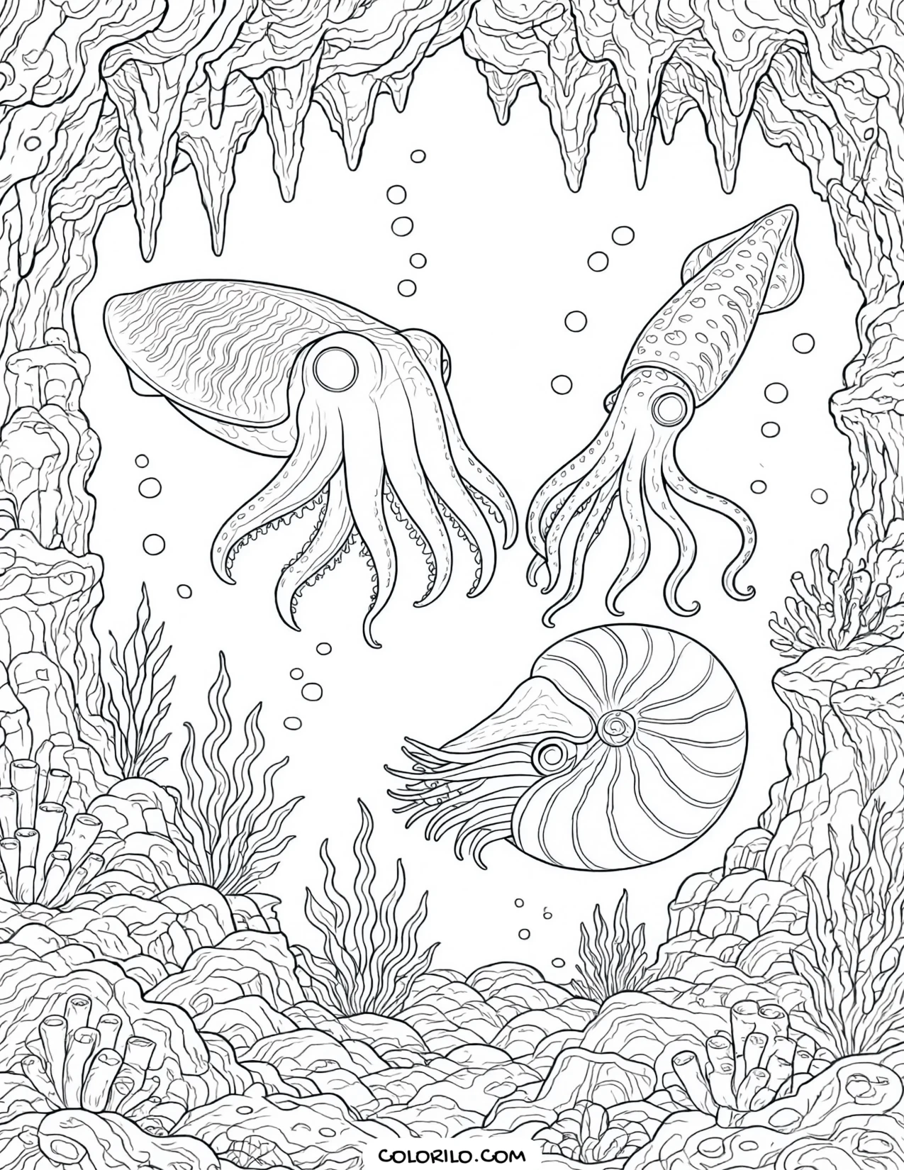 Cuttlefish, squid and nautilus in an underwater cave coloring page