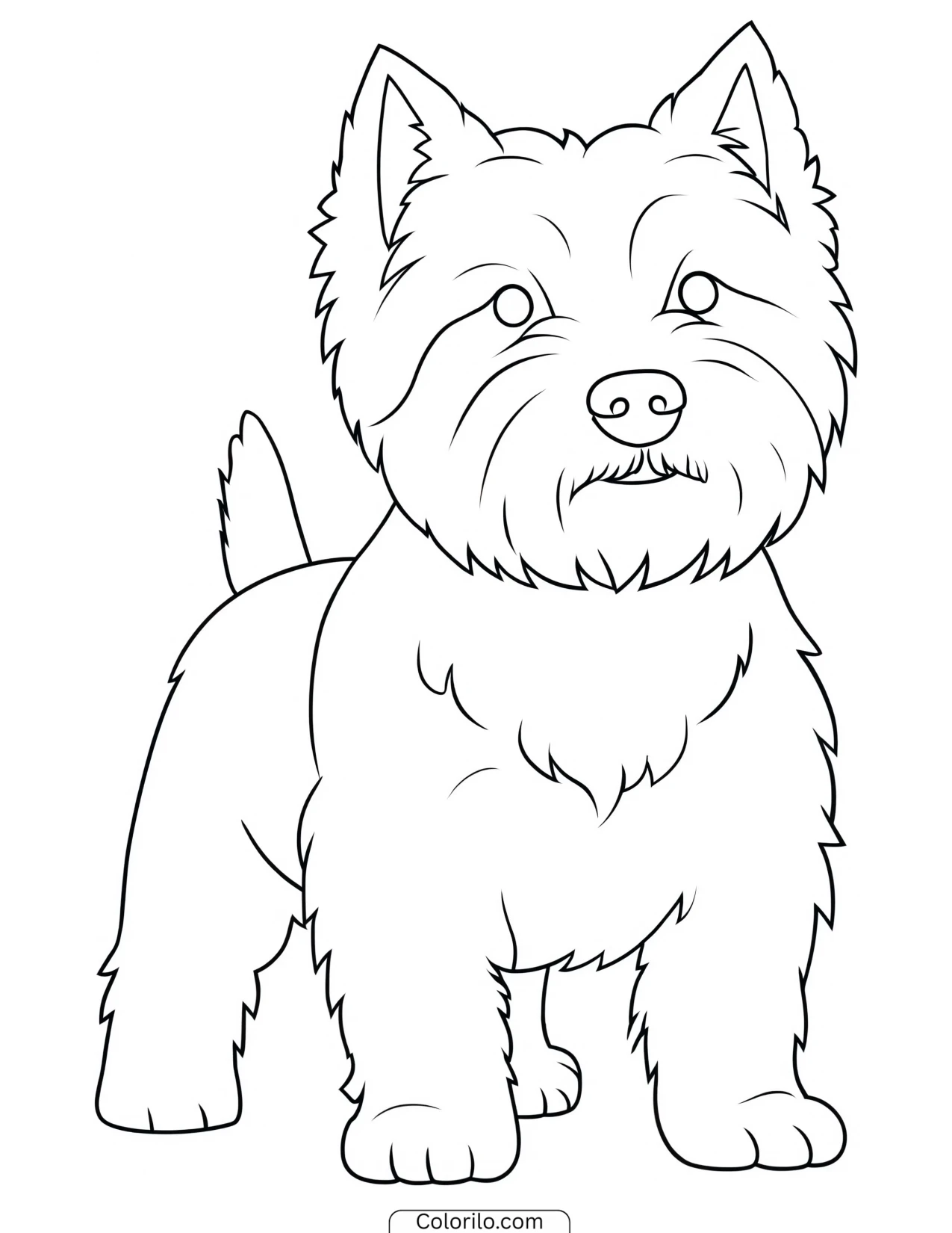A West Highland Terrier coloring page