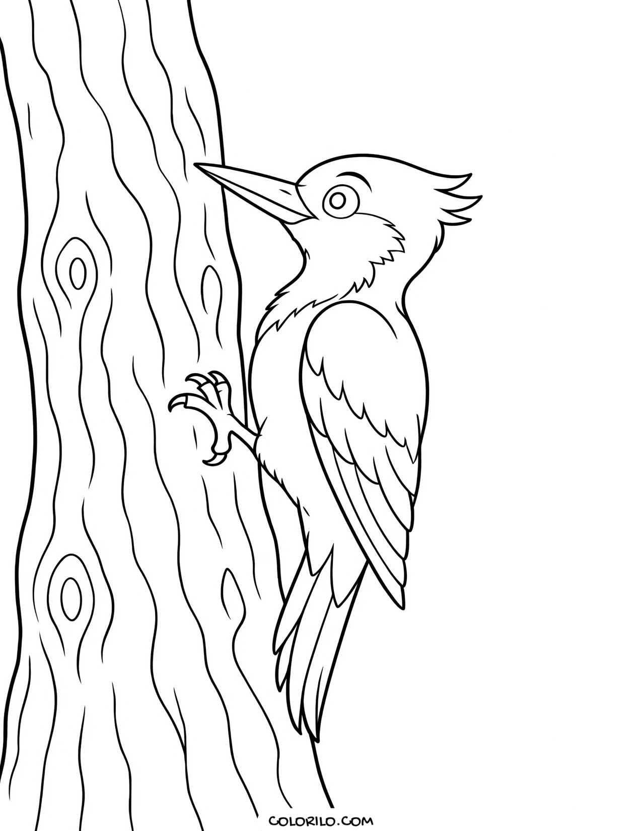a woodpecker gripping the side of a tree trunk coloring page
