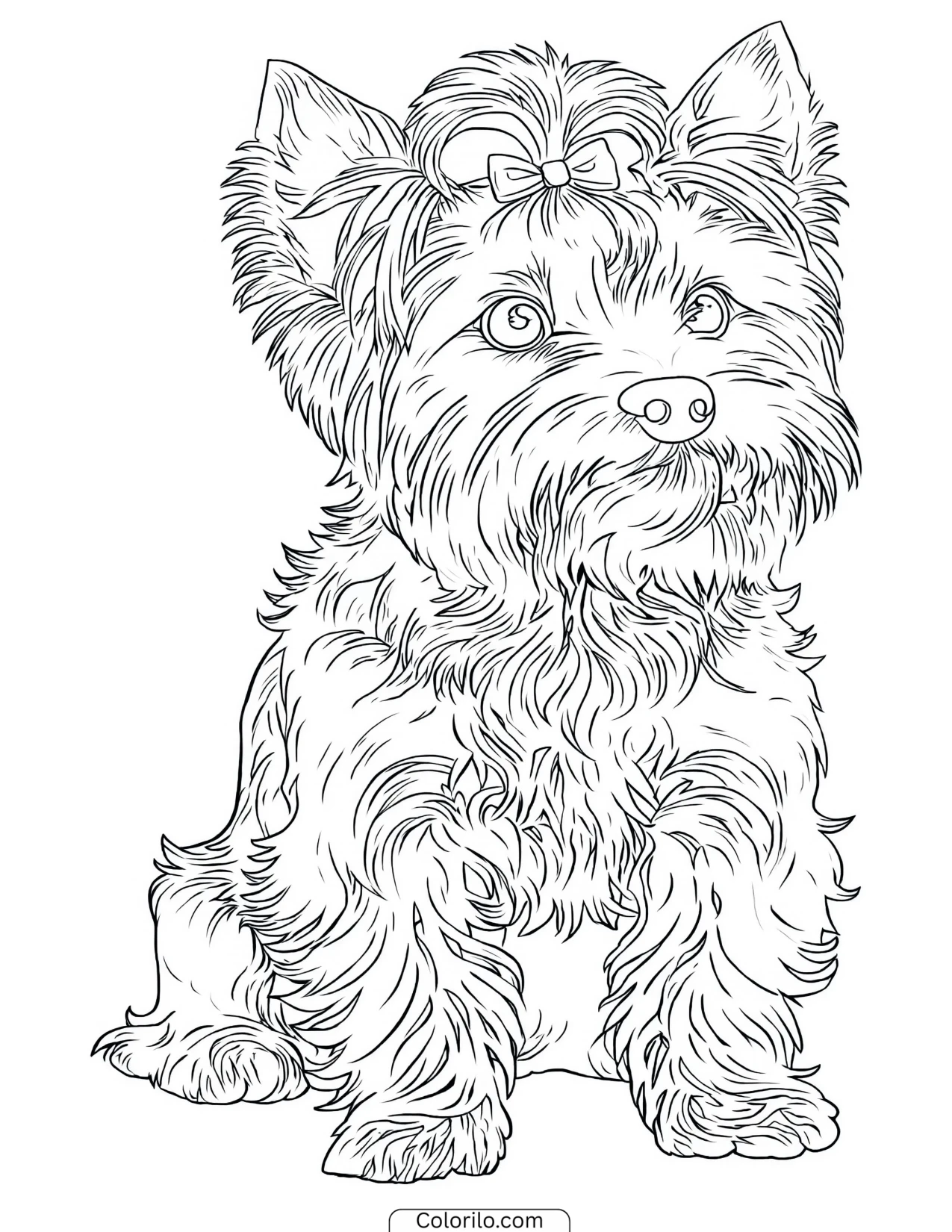 A Yorkshire Terrier with a bow in its hair coloring page